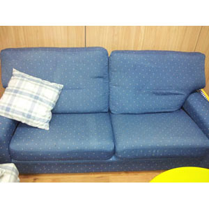 REGALO Sofa 2 Plazas